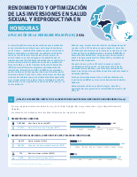 Applications of the MiPlan Tool: Honduras