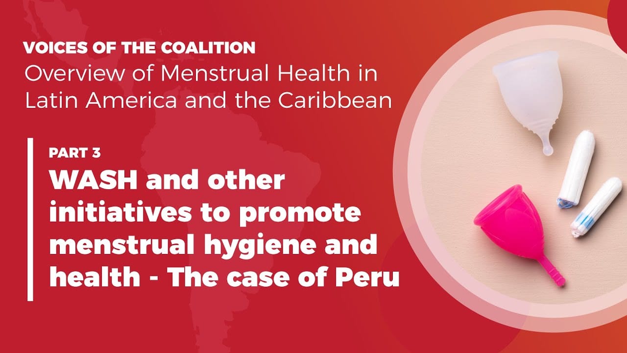 WASH and other initiatives to promote menstrual hygiene and health – The case of Peru